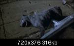 http://images.dead-donkey.com/images/dead5db4.png